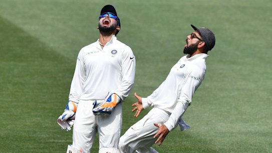 Australia v India Live: Marsh and Head survive for day five as hosts stare down defeat