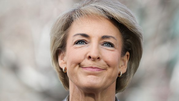 Michaelia Cash has been appointed as small business minister. 