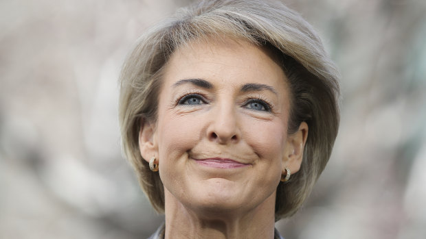 Michaelia Cash has been appointed as small business minister. 