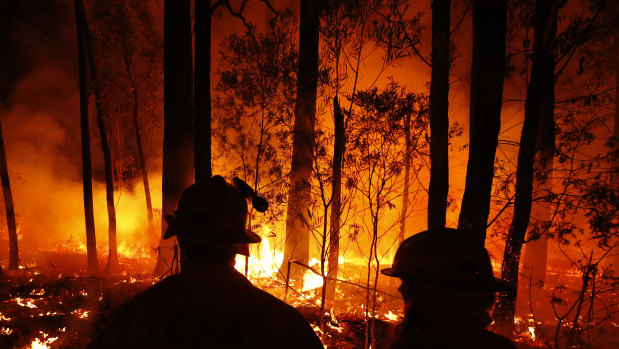Fires in Mallacoota in East Gippsland this summer. 