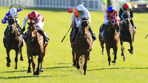 Montefilia (white cap)  reels in Lion's Roar (red) in the Spring Champion Stakes.