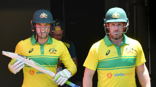 Leadership: Aaron Finch (right) and vice-captain Alex Carey stride to the crease in Adelaide.
