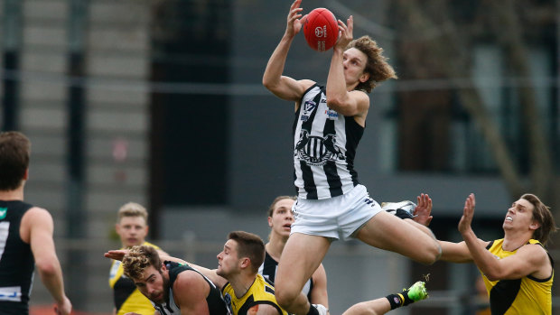 Ex-Docker Chris Mayne didn't let a season in the VFL dent his hunger for AFL success.
