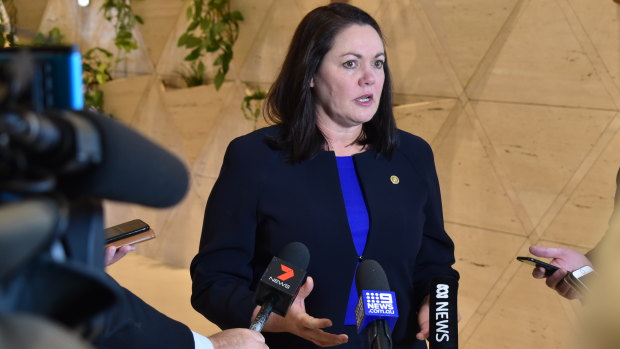Opposition leader Liza Harvey will take the Roe 8 and 9 road projects to the next election.