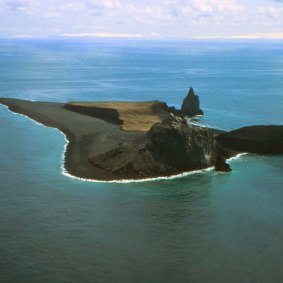 This 1994 aerial photograph shows the island before its new residents arrived.