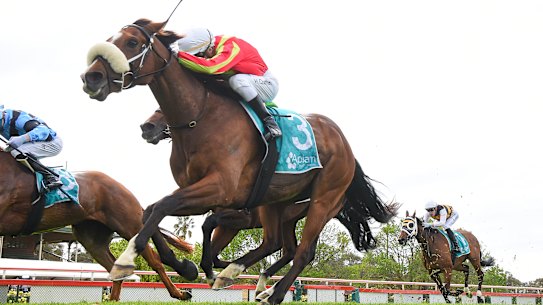 Wentwood, ridden by Harry Coffey, claims the Bendigo Cup.