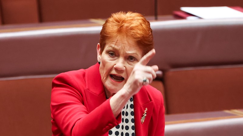 Research finds about half of One Nation voters could switch if migration concerns addressed
