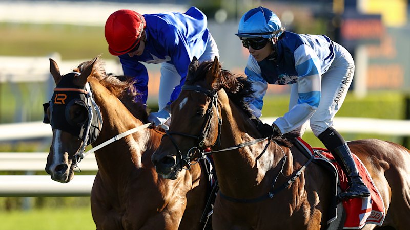 ‘Well, it’ll be cheap’: Trainer eyes more success with unlikely filly