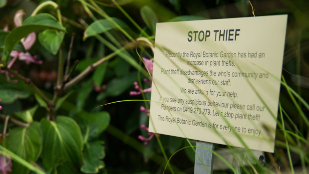 Plant thieves are the root of all evil