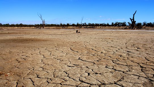 A majority of Australians now think we are seeing more frequent and severe droughts due to climate change