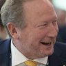 Andrew Forrest is delighted with the federal budget