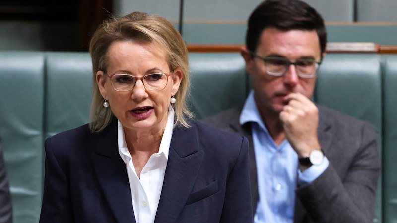 Ley heaps pressure on Littleproud as leaders fight for their political lives