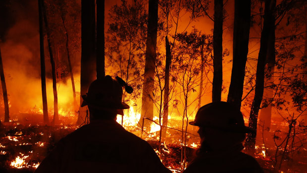 Bushfire survivors want more water bombers, climate change action