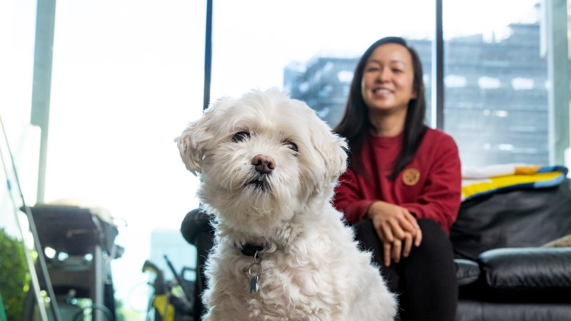 ‘He’s an angel’: Why Liv Arnold serves $30 steaks to her pet dog