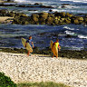 City dwellers made a sea-change to Port Macquarie and other popular coastal towns.