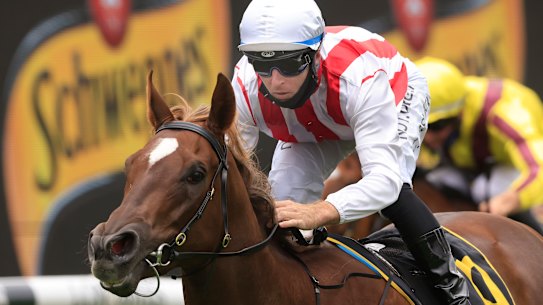 Four Moves Ahead is the only unbeaten runner in Saturday’s Golden Slipper.