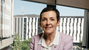 Small business ombudsman Kate Carnell said the banks are too risk averse. 
