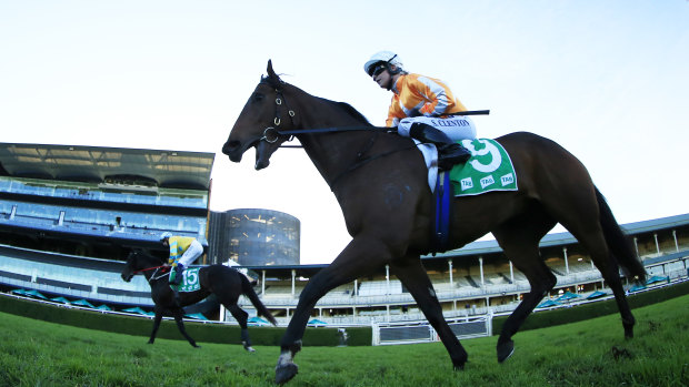 Ljungberg is yet to taste victory at Rosehill in four attempts heading into Saturday's meeting.