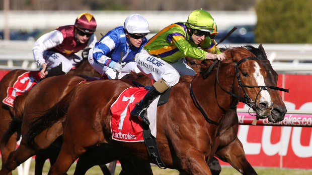 Craig Williams on Gytrash (blue) runs second to Damian Lane on Crystal Dreamer (green) on the weekend.
