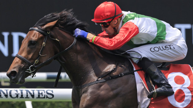 Jason Collett pilots Fireburn to victory at Randwick. The horse is a good chance in the Golden Slipper.