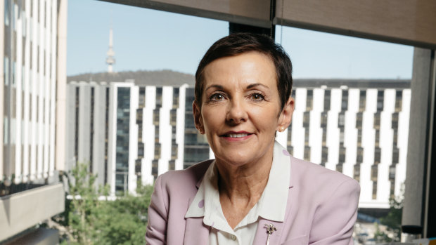 Small business ombudsman Kate Carnell said the banks are too risk averse. 