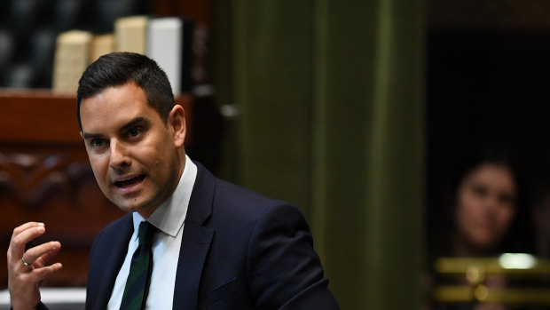 Independent Sydney MP Alex Greenwich speaking against amendments to the abortion decriminalisation bill. 