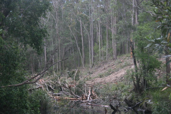 Cleared trees dumped in Nanabah Creek, which feeds into Fame Cove, resulted in an $8000 fine in 2014.
