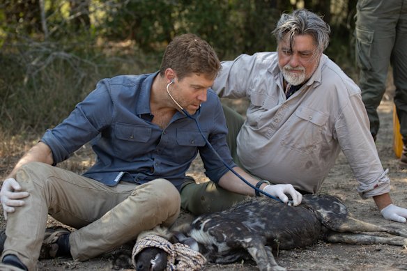 Chris Brown and Matt Preston on Once in a Lifetime.