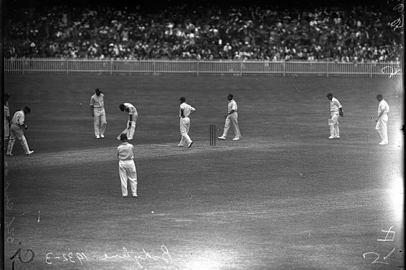 Australian Stan McCabe doubles up after being hit by Larwood in the shoulder at the SCG. His family say he was made the fall guy for criticism of the English tactics.