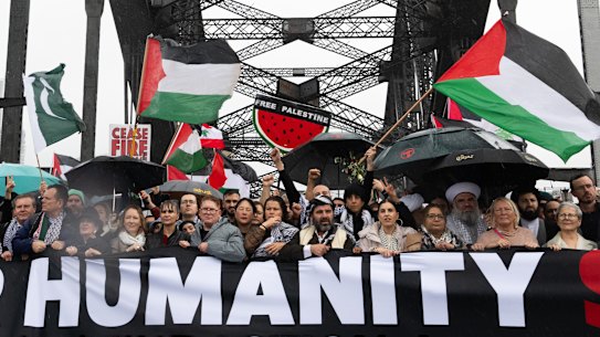Pro-Palestine protesters march across the Sydney Harbour Bridge to bring attention to the humanitarian crisis in Gaza. 