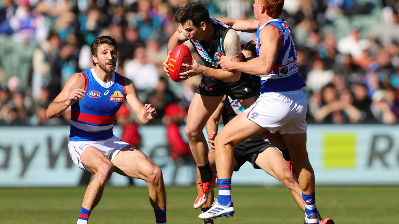 AFL 2024 round 17 LIVE updates: Naughton subbed out with concussion as Power dominates Bulldogs