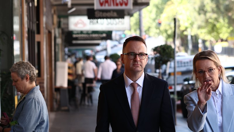 smh.com.au - Paul Sakkal, Mike Foley - Moderate Liberals beg supporters 'don't give up on the party'