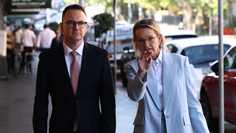 Moderate Liberals beg supporters ‘don’t give up on the party’