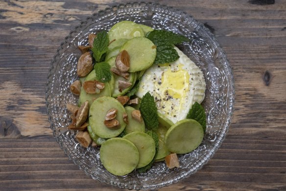 Stracchino cheese, tromboncino squash, mint and fried almonds.