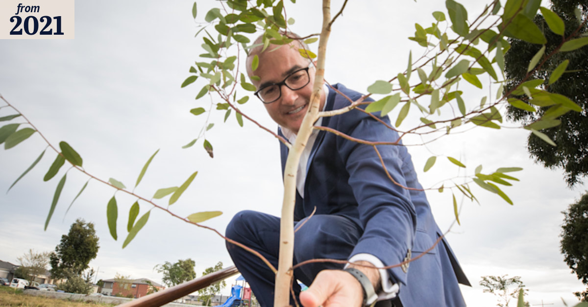 Plan to green Melbourne’s west by planting 500,000 trees