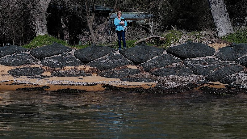 Silverleaves residents win discounts after flood exposure concerns