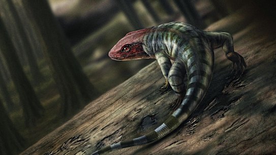 An artist’s impression of what the amniote may have looked like.