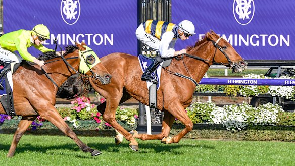 Declan Bates rides Haky to victory in the William Newton VC Handicap at Flemington on Saturday.