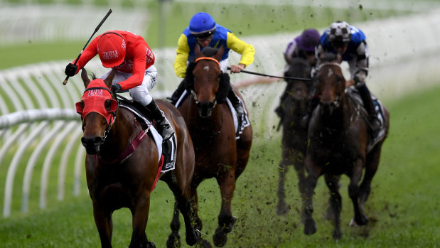 Back to back: Redzel storms home in The Everest at a wet Randwick on Saturday.
