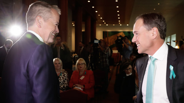 Opposition Leader Bill Shorten and Health Minister Greg Hunt, seen in a file picture, have both pledged millions for heart check-ups.