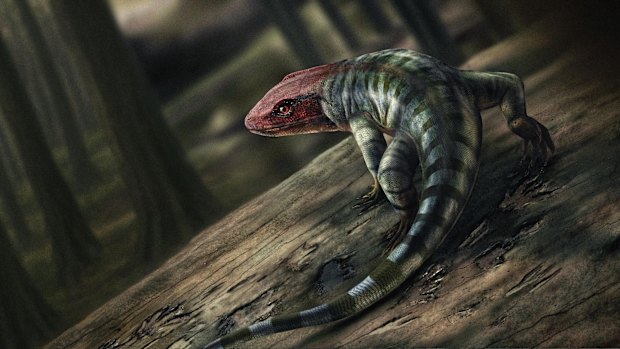 An artist’s impression of what the amniote may have looked like.