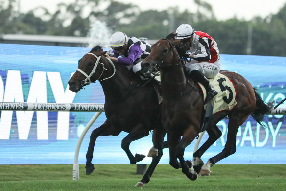 Osipenko dives through on the inside of Zou Tiger to take out the Hobartville Stakes.