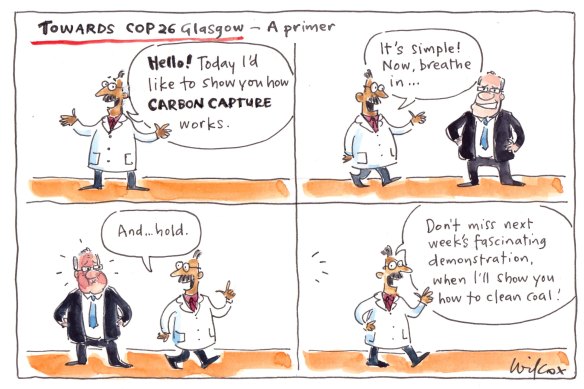 Illustration: Cathy Wilcox