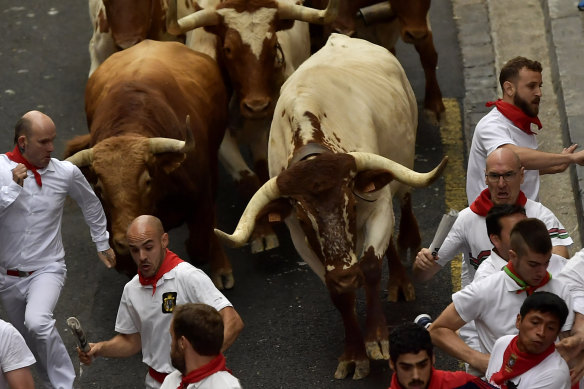 Revellers run next to fighting bulls during the running of the bulls at the San Fermin Festival, in Pamplona.