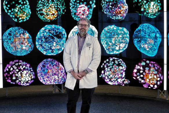 Professor Jose Polo in front of images of model embryos.