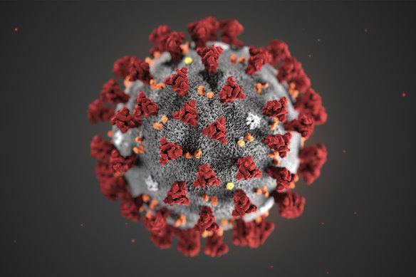 The 2019 Novel Coronavirus (2019-nCoV), also known as Wuhan coronavirus.