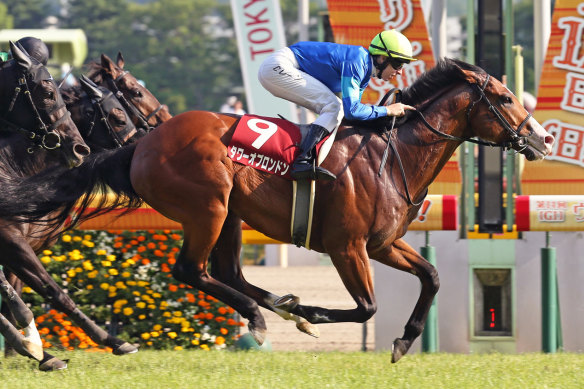 Damian Lane wins the G2 Keio Hai Spring Cup aboard Tower Of London at Tokyo Racecourse