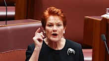 Senator Pauline Hanson has released One Nation’s new immigration policy.