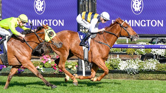 Declan Bates rides Haky to victory in the William Newton VC Handicap at Flemington on Saturday.
