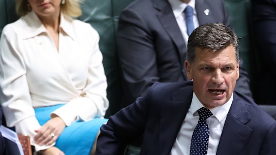 Opposition Leader Angus Taylor during question time.